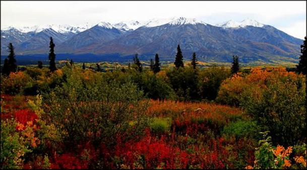 autunno nella tundra