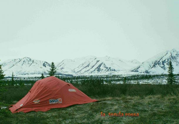 campo base ai piedi dell'Alaska range