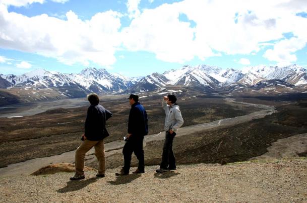 panorama nel Denali park