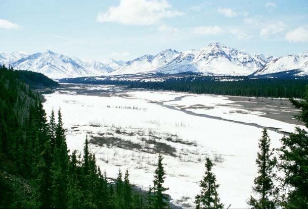 nel Denali park