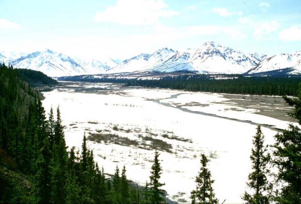 nel Denali park