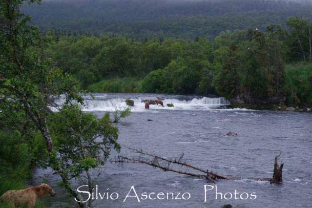 Le cascate di Brooks