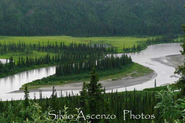 Tanana river