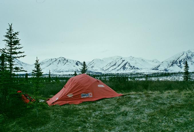 ai piedi dell'Alaska range