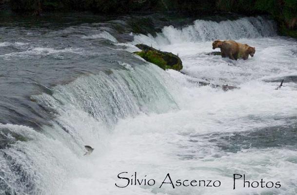 Brooks: le cascate