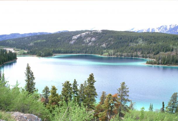 Emerald lake, vicino Carcross