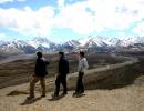 panorama nel Denali park