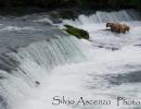 Brooks: le cascate