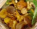 misto funghi mangerecci